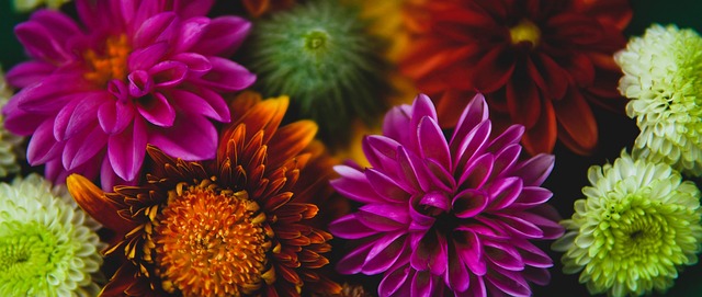 防守节奏的